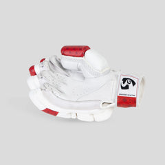 SG Batting Gloves Test