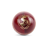 SG Cricket Ball Bouncer