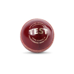 SG Cricket Ball Test