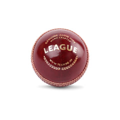 SG Cricket Ball League