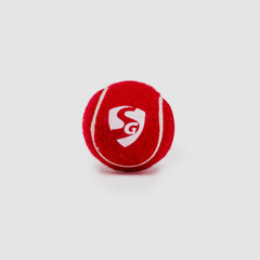 SG Cricket Ball Club Heavy