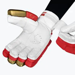 DSC Batting Gloves Strike 20/20