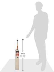 SS Cricket Bat Master 50