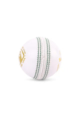 SG Cricket Ball Shield 30