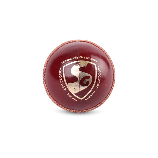 SG Cricket Ball Test