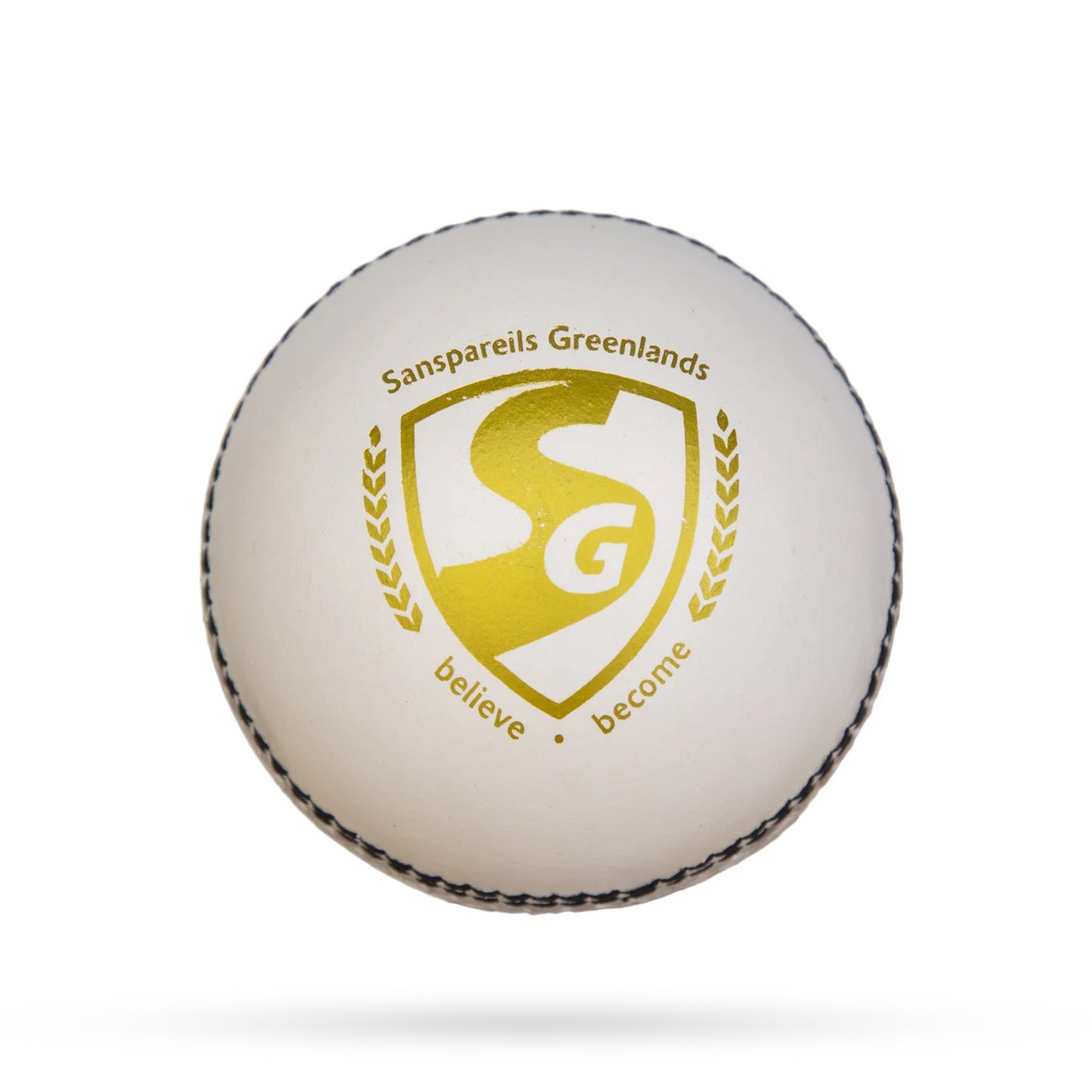 SG Shield 20 Cricket Leather Ball
