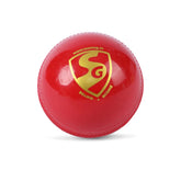 SG Cricket Ball Everlast