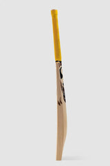 SG Cricket Bat Ishan Kishan