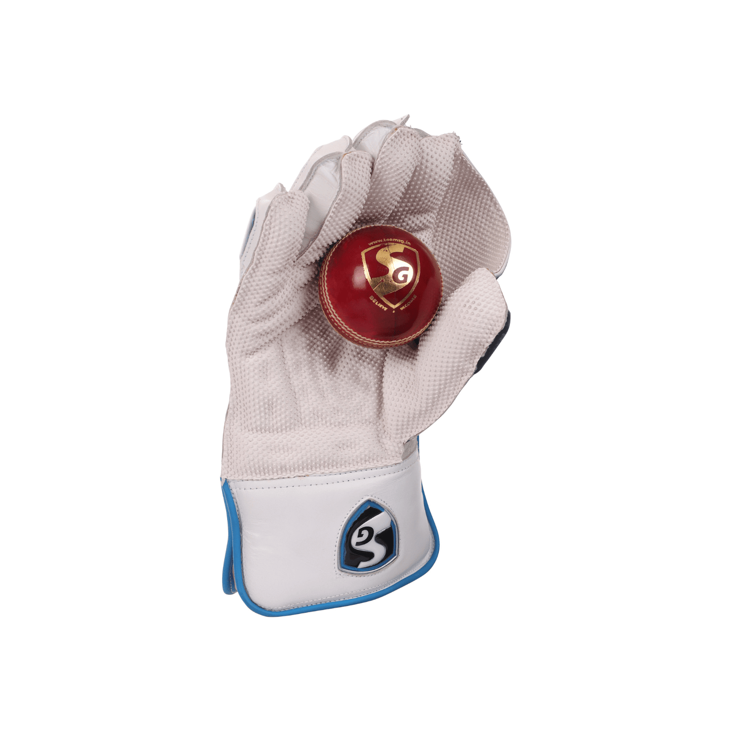 SG RSD Xtreme Wicket Keeping Gloves (Multi - Color) W.K. Gloves - Cric Studio