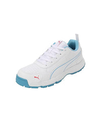 PUMA Cricket Shoes Classicat
