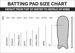 DSC Batting Legguard Intense Player