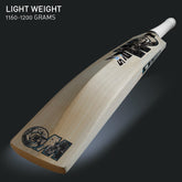DSC Cricket Bat Diamond 404