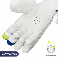 DSC Batting Gloves Condor Surge 2.0