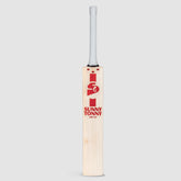 SG Cricket Bat Arc 4.0