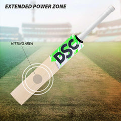 DSC Cricket Bat Player Edition (Split)