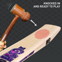GM Cricket Bat Galaxy 333