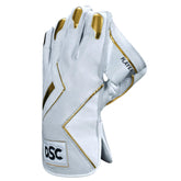 DSC Wicket Keeping Gloves Players