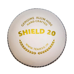 SG Cricket Ball Shield 20