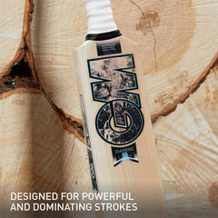 GM Cricket Bat Diamond 404
