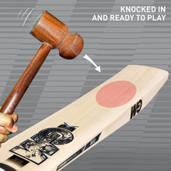 GM Cricket Bat Diamond 404
