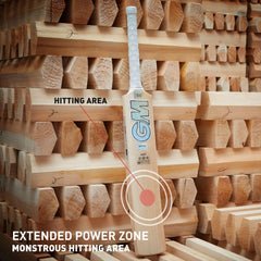 GM Cricket Bat Kryos 404