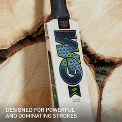 GM Cricket Bat Aion 333
