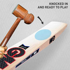 GM Cricket Bat Maxi 333