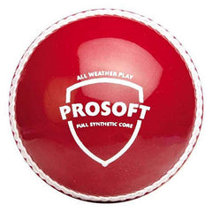 SG Cricket Ball Prosoft