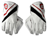 SF Wicket Keeping Gloves Test