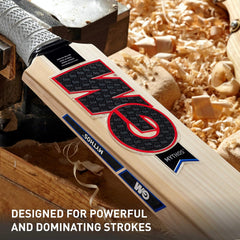 GM Cricket Bat Maxi 333