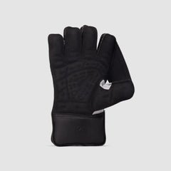 SG Wicket Keeping Gloves Test