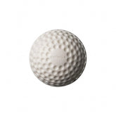 SG Cricket Ball Swinga