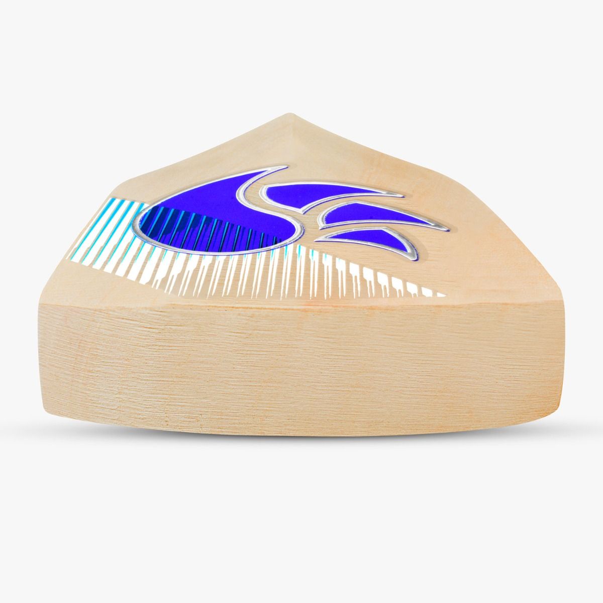 DSC BLU 77 Kashmir Willow Bat - Cric Studio