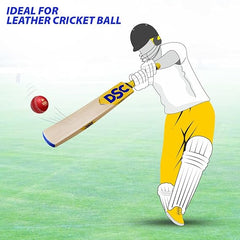 DSC Cricket Bat Bravado 77