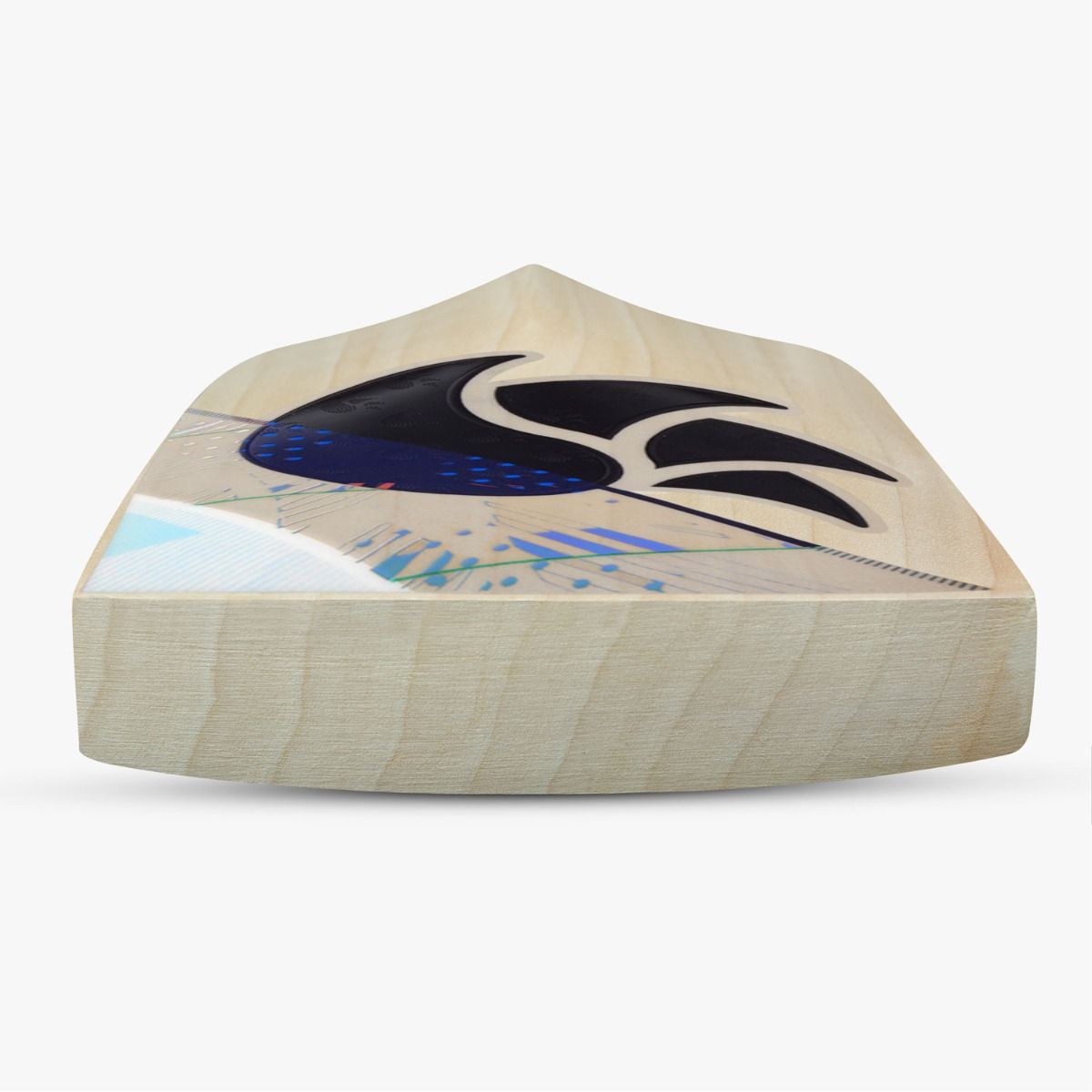 DSC Condor Glider English Willow Bat SH - Cric Studio