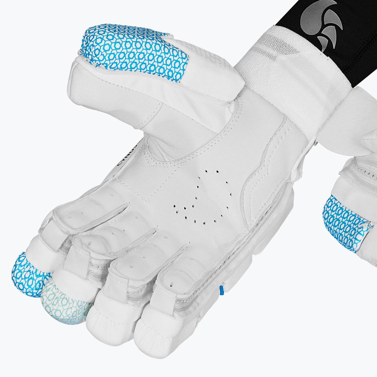 DSC Cynos 4040 Batting Gloves - Cric Studio