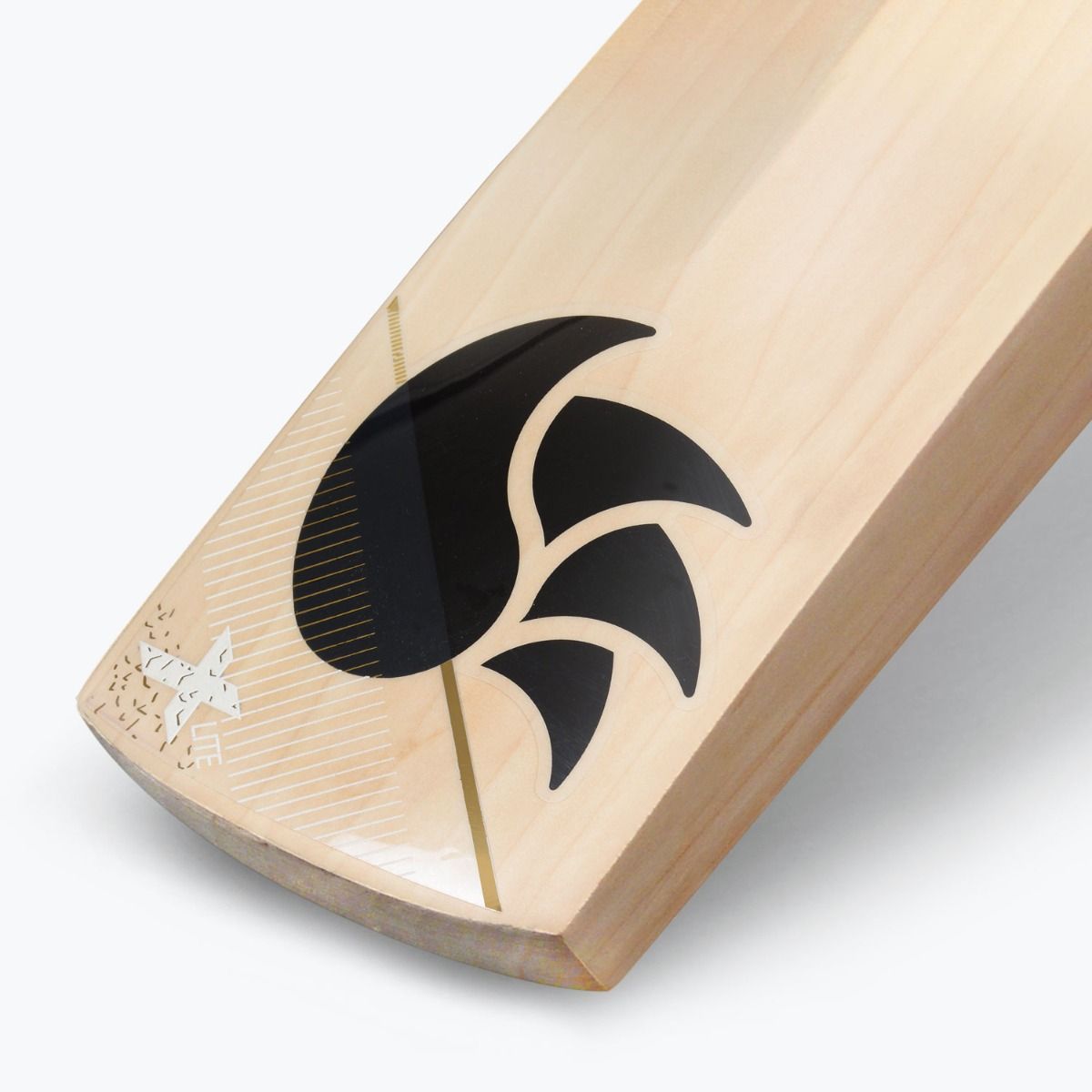 DSC Xlite 1.0 English Willow Bat SH - Cric Studio