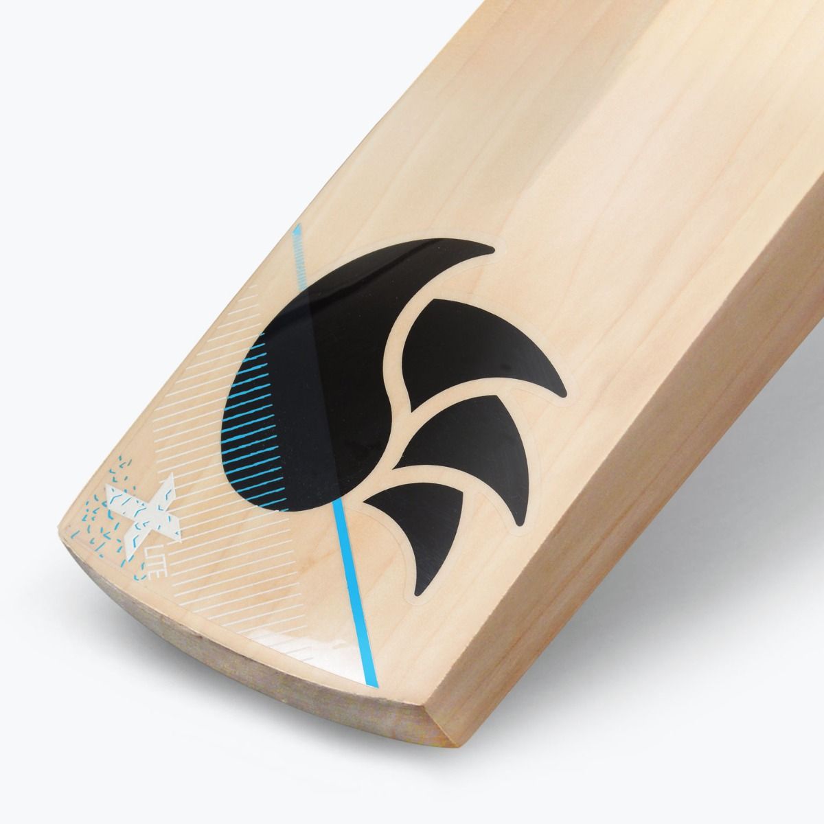 DSC Xlite 2.0 English Willow Bat - Cric Studio