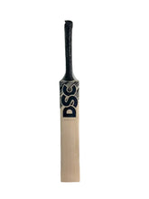DSC Cricket Bat Monza