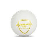 SG Cricket Ball Everlast Tec