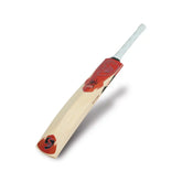SG Cricket Bat RP Icon