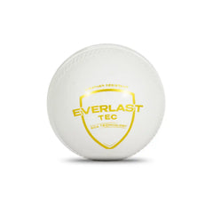 SG Cricket Ball Everlast Tec