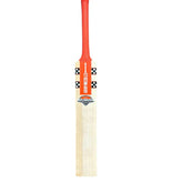GN Cricket Bat GN4 Astro