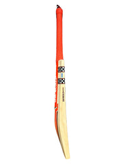 GN Cricket Bat Player Profile
