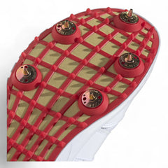 ADIDAS Cricket Shoes Howzat Spikes 20