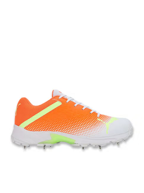 Puma Spike 22.2 Cricket Shoes
