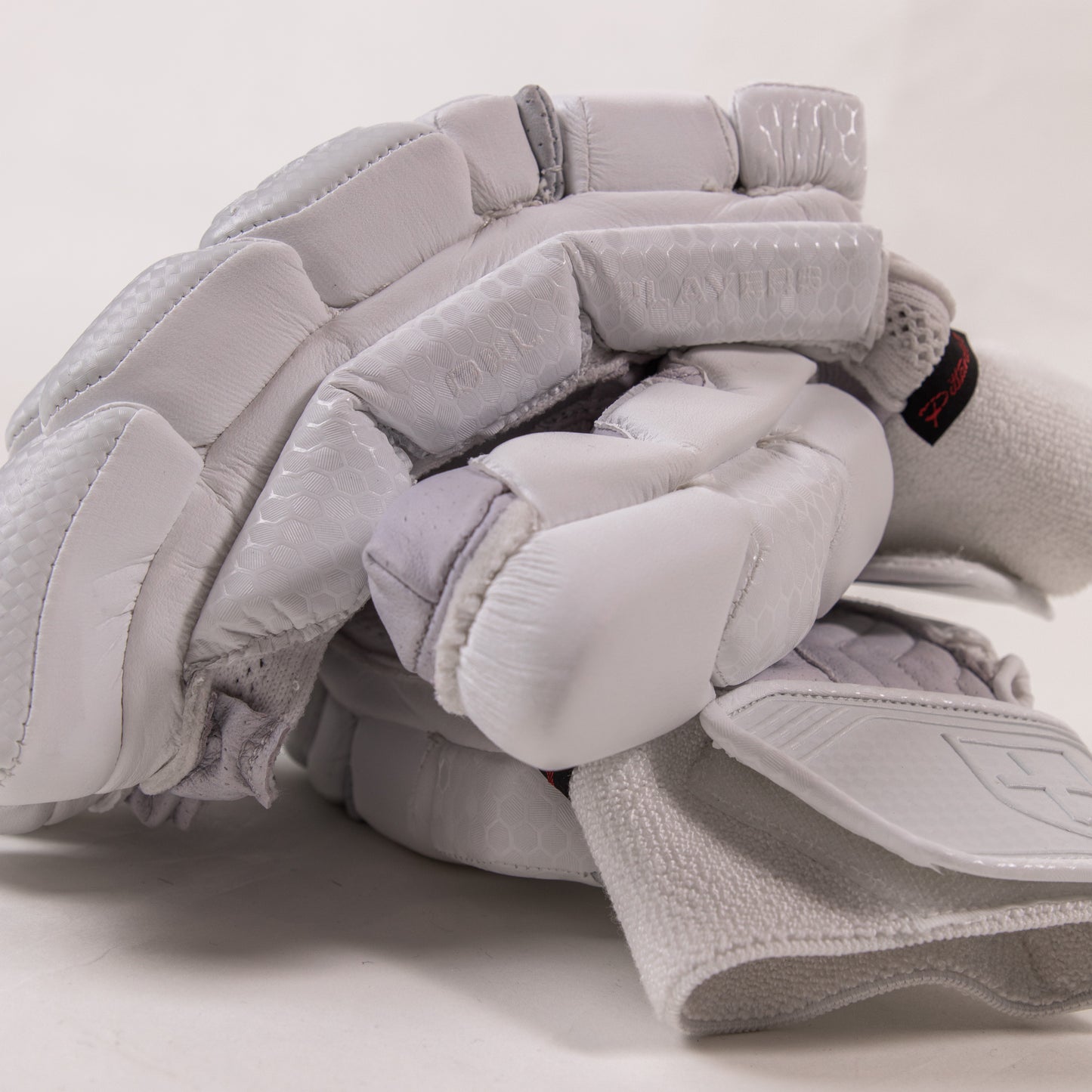 Focus Players Gloves - Cric Studio