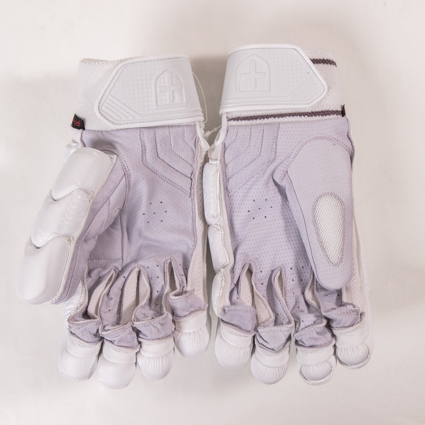 Focus Players Gloves - Cric Studio
