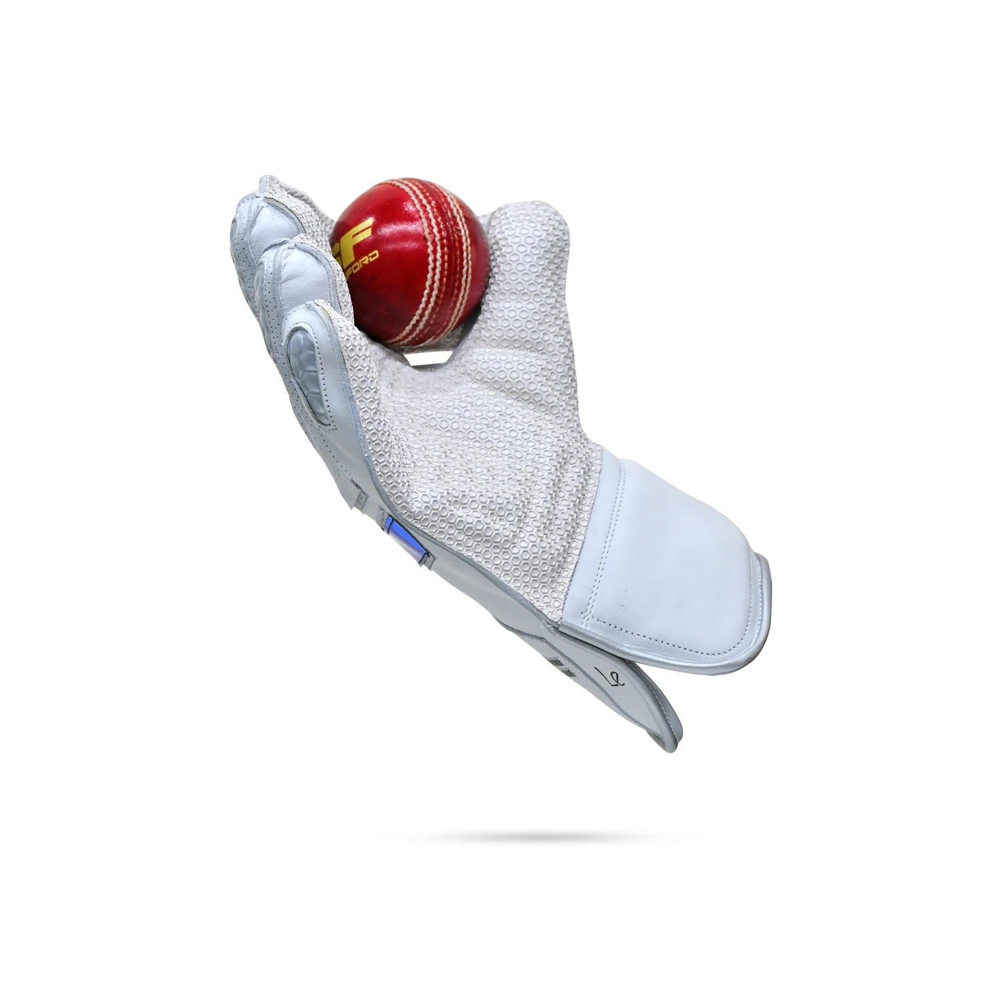 SF LE – Limited Edition Wicket Keeping Gloves - Cric Studio