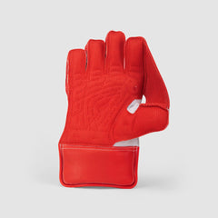 SG Wicket Keeping Gloves KLR 1